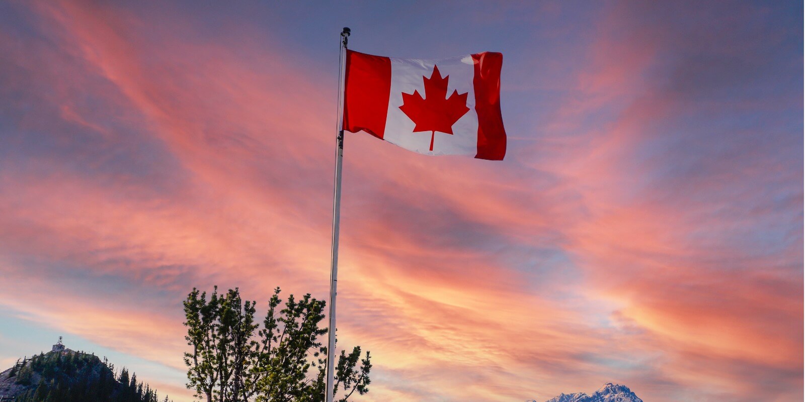The Canadian Flag