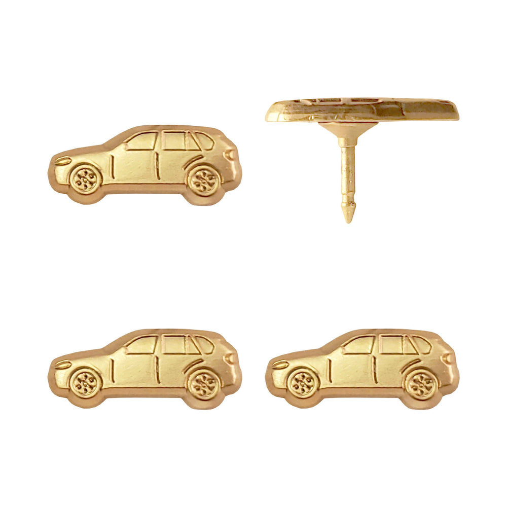 Car Push Pins Silver & Gold Car Pins Push Pin Travel Maps