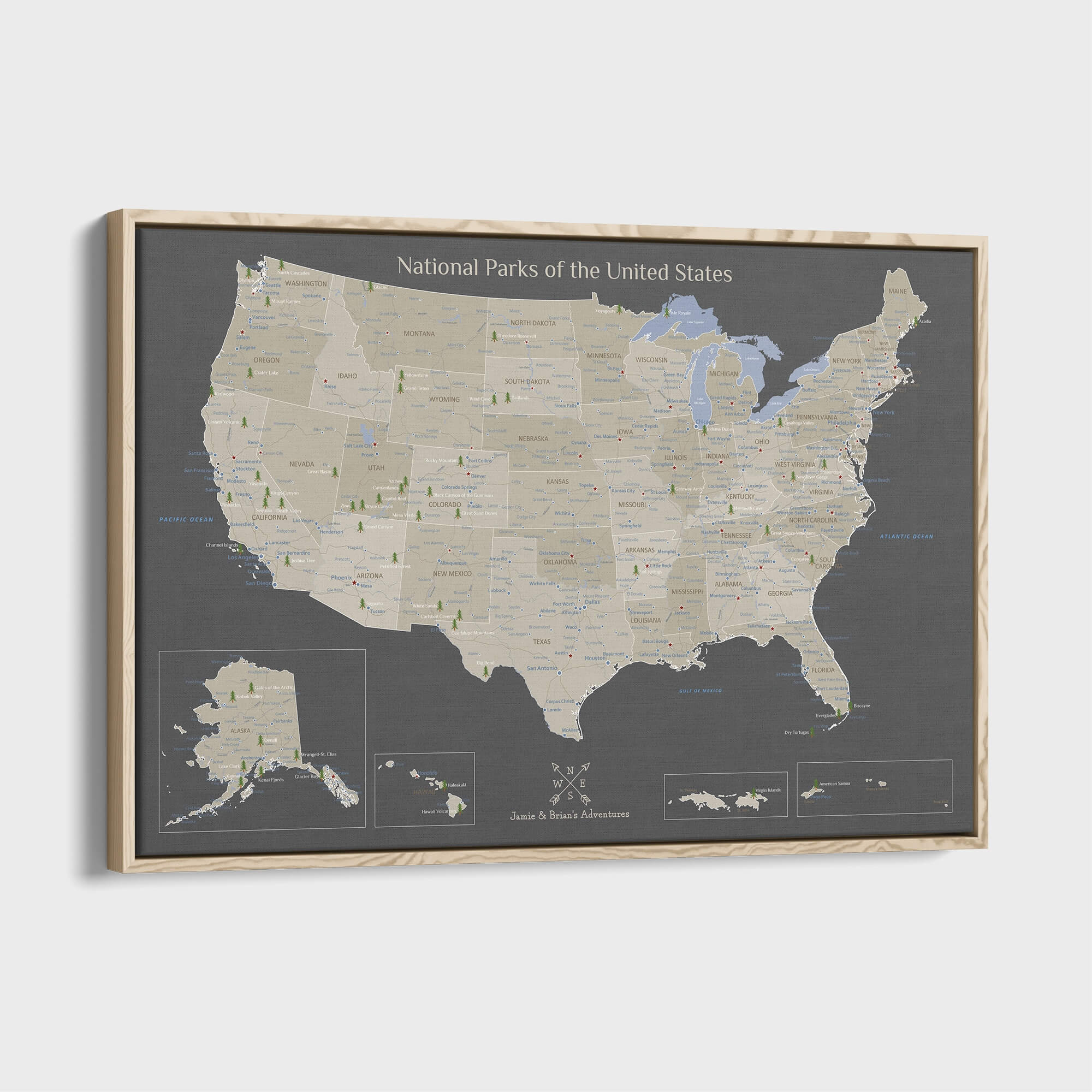 Canvas - Earth Toned National Parks of the USA Travel Map with pins