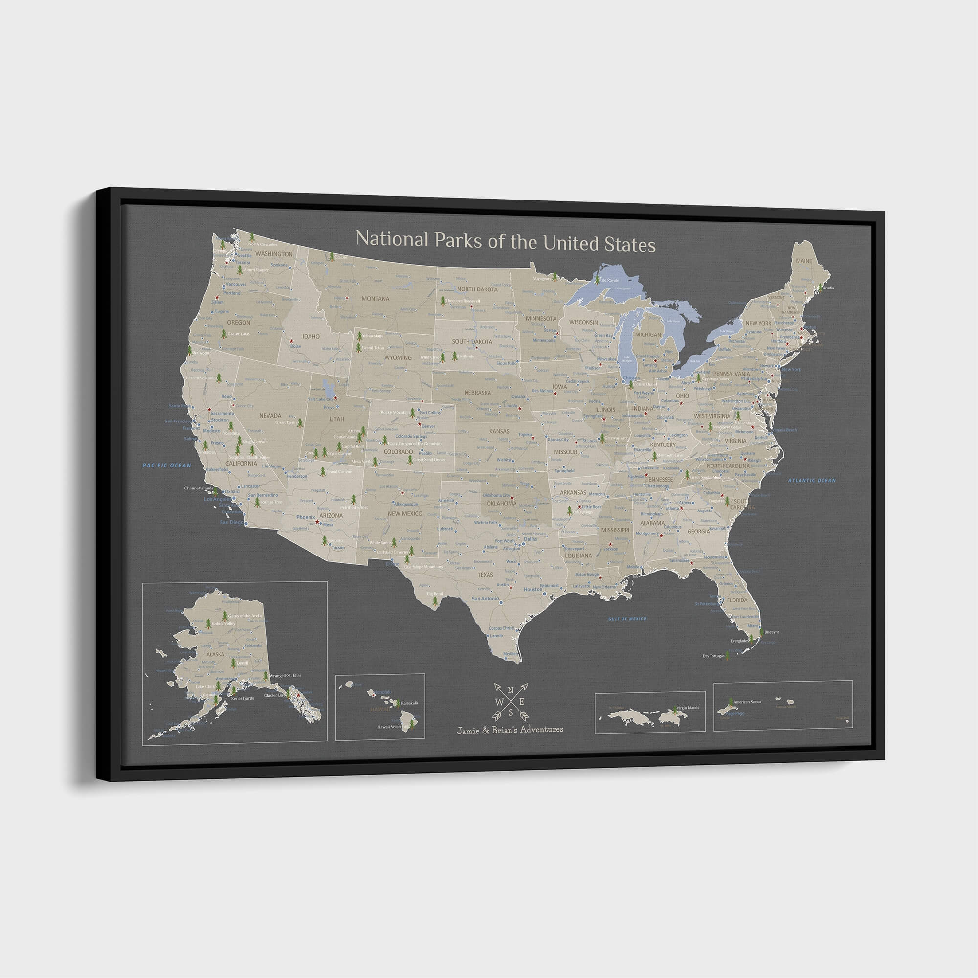 Canvas - Earth Toned National Parks of the USA Travel Map with pins