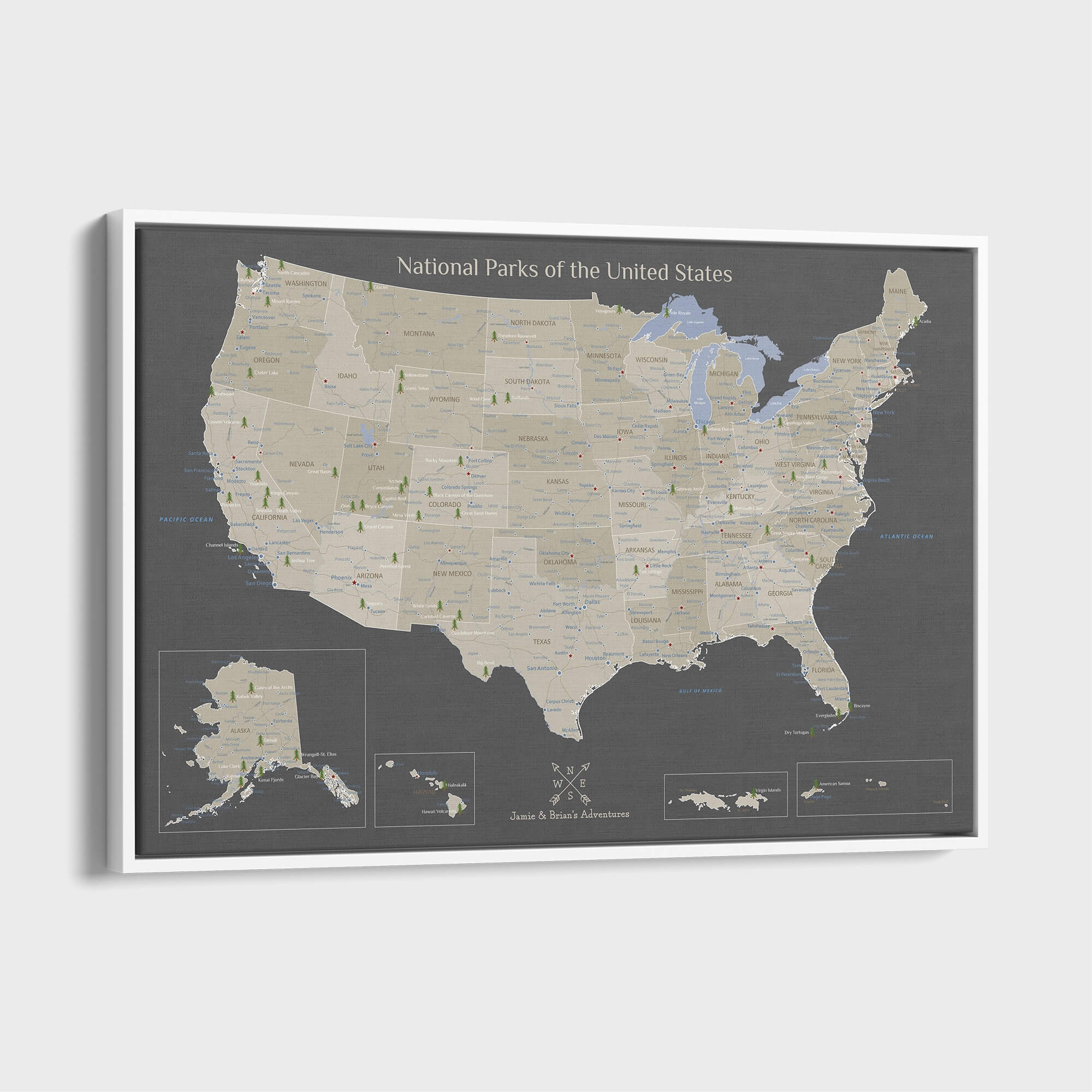 Canvas - Earth Toned National Parks of the USA Travel Map with pins