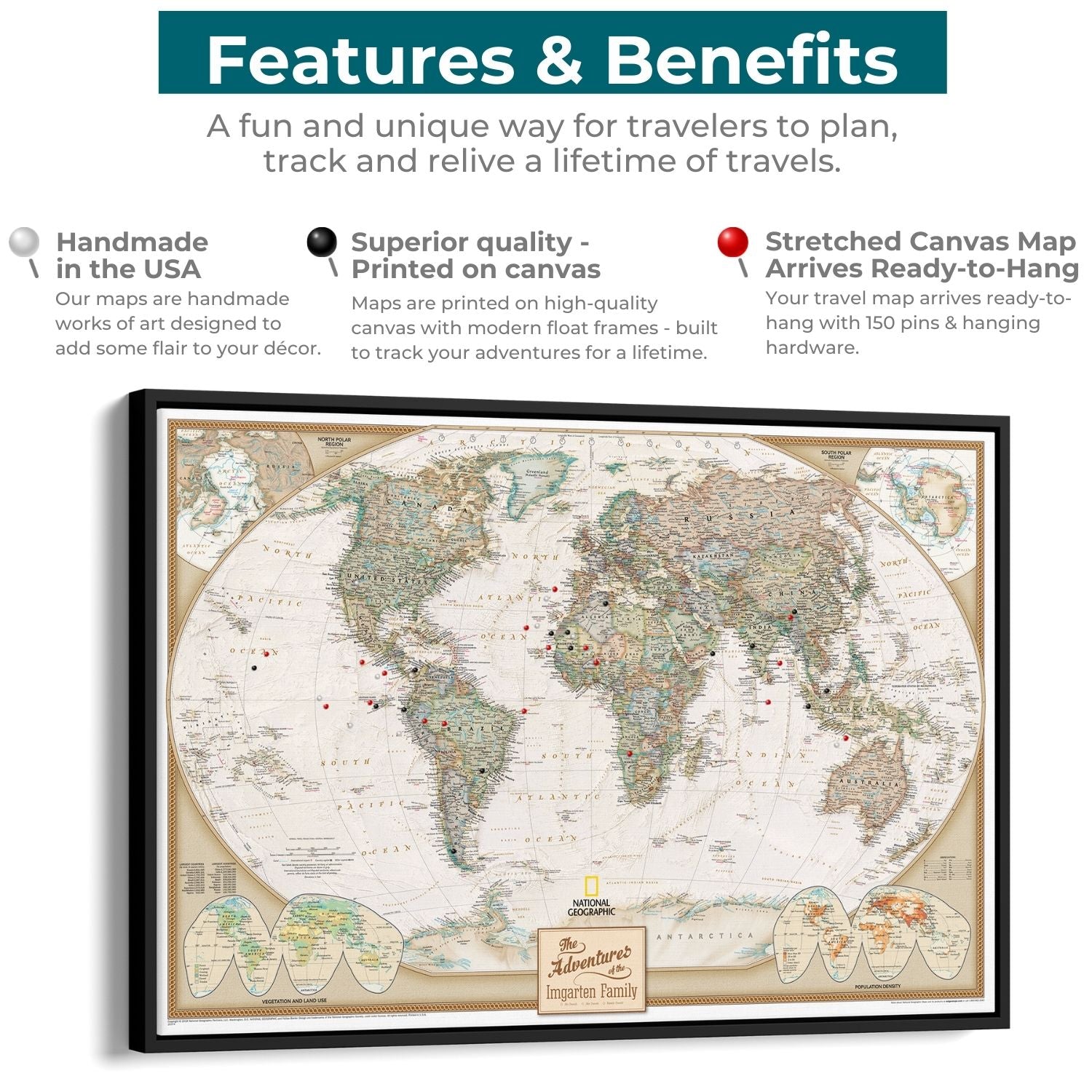 Canvas - Executive World Travel Map with Pins