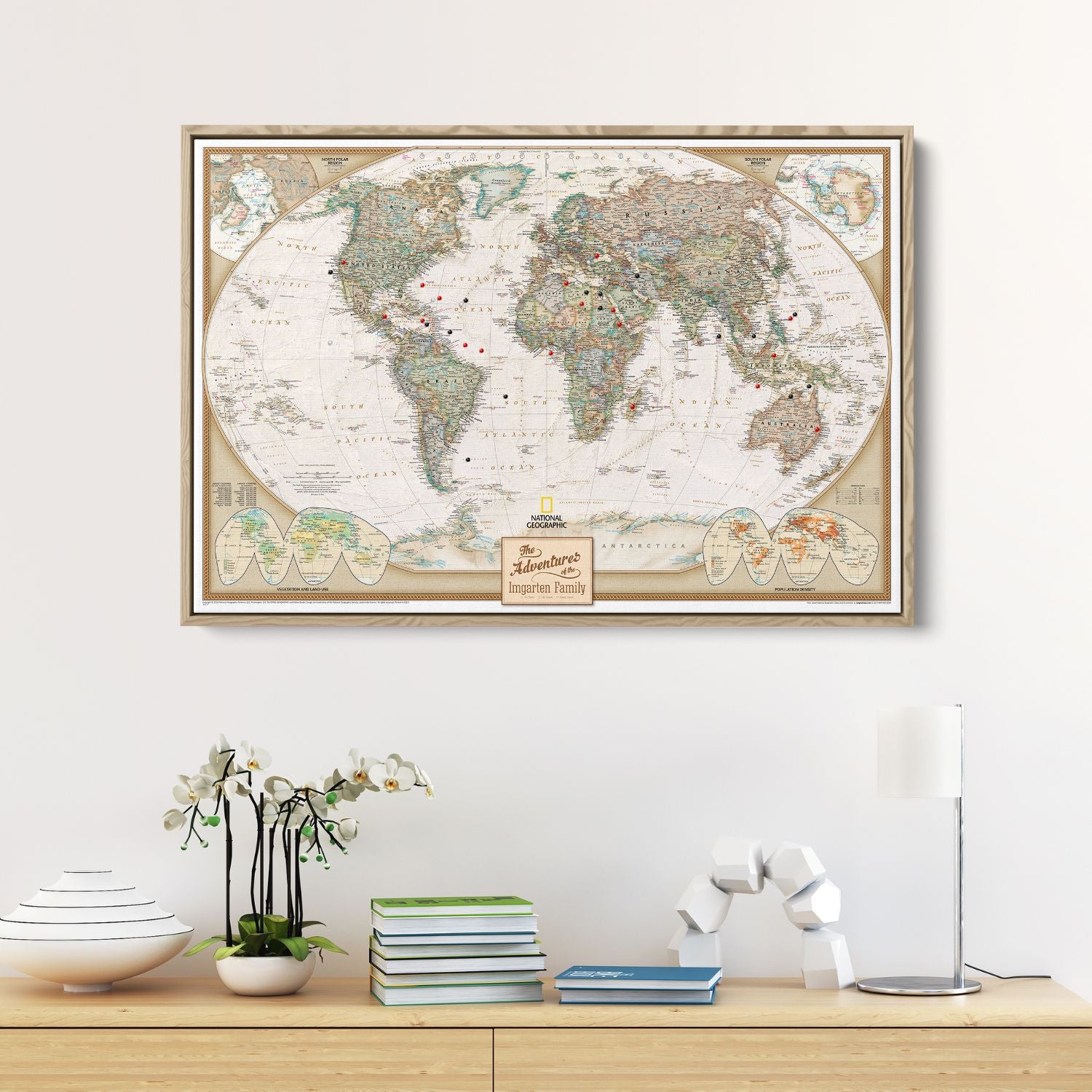 Canvas - Executive World Travel Map with Pins