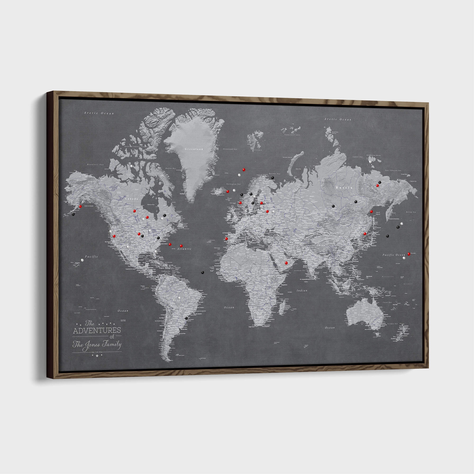 Canvas - Stormy Dreams World Travel Map with pins