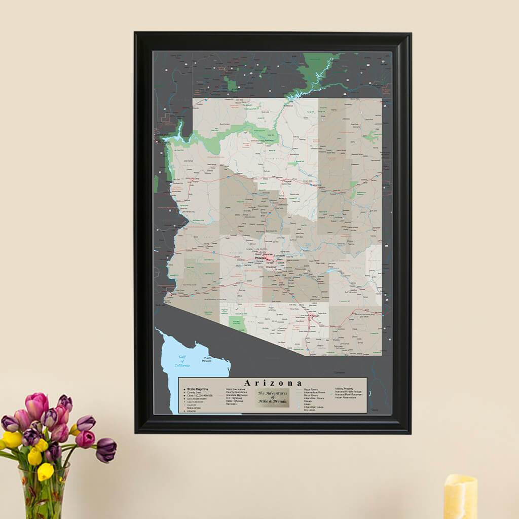 Earth Toned Arizona State Push Pin Map with Pins main picture