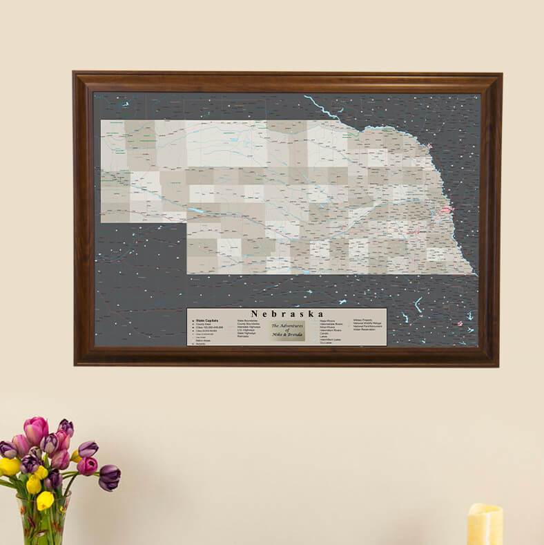 Earth Toned Nebraska State Push Pin Travel Map main picture